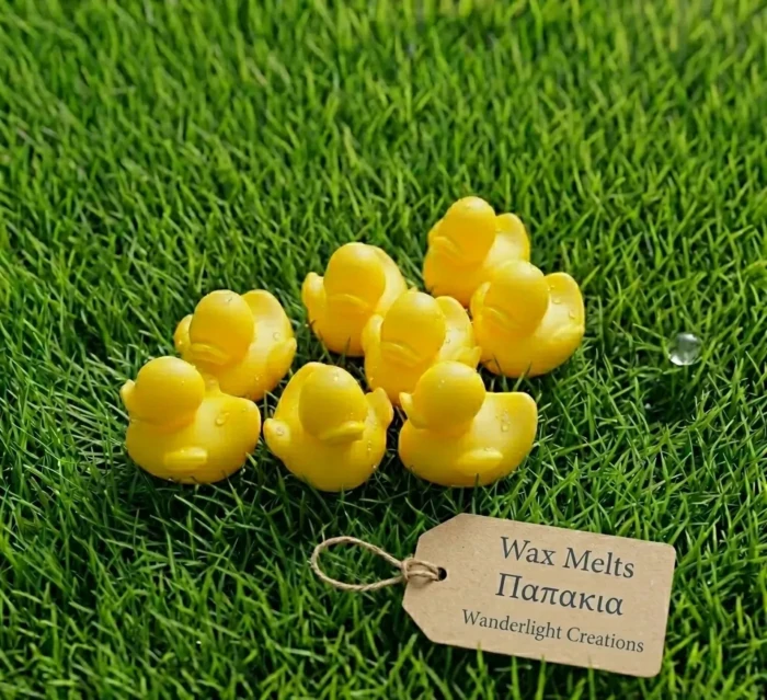 Παπάκια Wax Melts Σόγιας