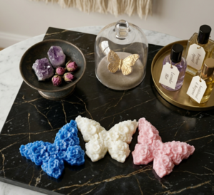 Πεταλούδα waxmelt. Το Πνεύμα της Άνοιξης Φωτογραφία 2